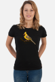 Yellow Cardinal