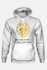 Lwy chodzą samotnie, tylko barany chodzą stadami