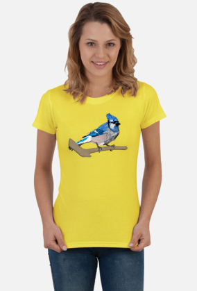 Blue Jay