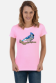 Blue Jay
