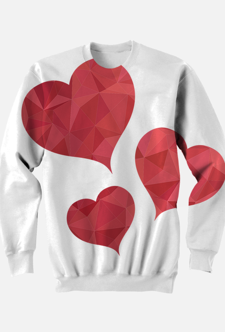 Bluza