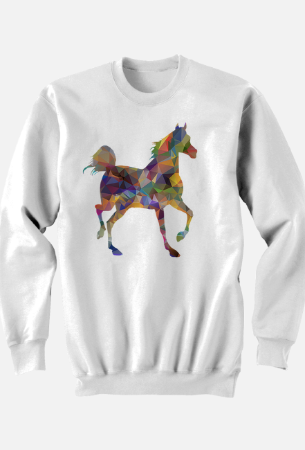 Bluza