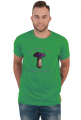 Grzyby
