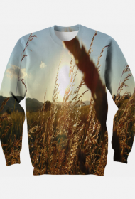 Pamiątka po wakacjach