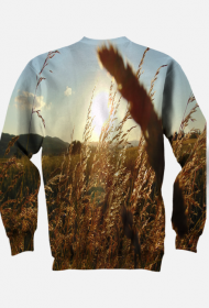 Pamiątka po wakacjach