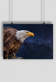 Plakat A2 Poziomy Orzel