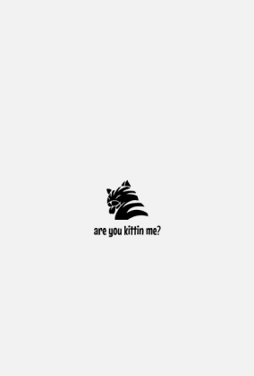 are you kittin me?