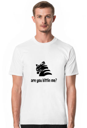 are you kittin me?