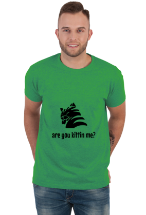 are you kittin me?