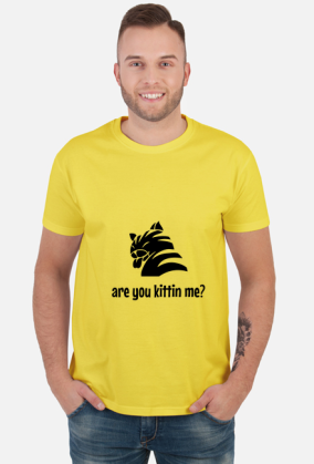 are you kittin me?