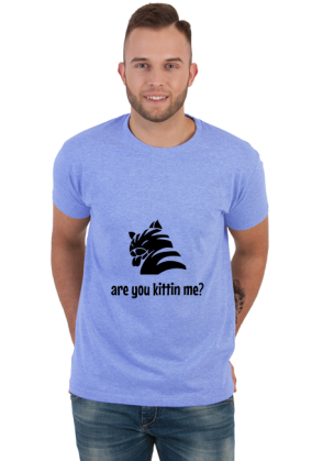 are you kittin me?