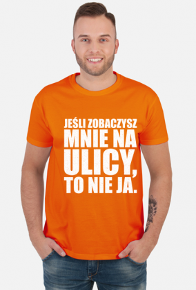 śmieszna koszulka dla introwertyka, koszulka z nadrukiem, koszulka męska, koszulka z napisami