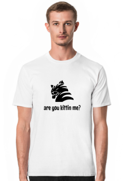 are you kittin me?