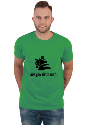 are you kittin me?
