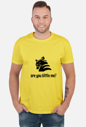 are you kittin me?