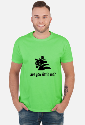 are you kittin me?