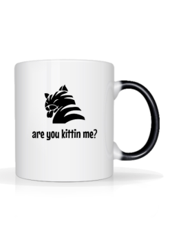 are you kittin me?