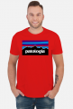 Patologia w kolorach