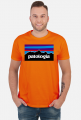 Patologia w kolorach