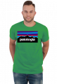 Patologia w kolorach