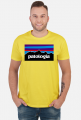 Patologia w kolorach
