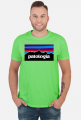 Patologia w kolorach