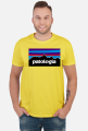 Patologia w kolorach