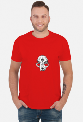 Cat skull koszulka męska