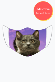 Maska - Kot