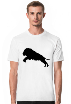 Lions