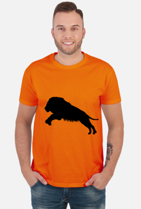 Lions