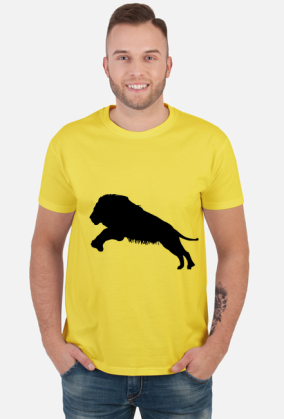 Lions