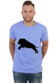Lions