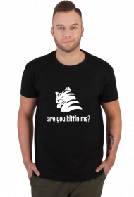 are you kittin me?