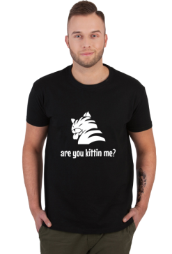 are you kittin me?