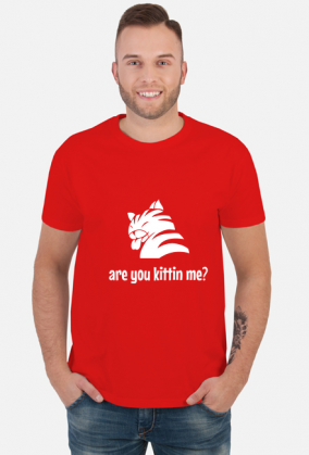 are you kittin me?