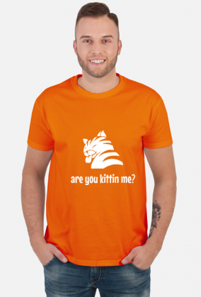 are you kittin me?