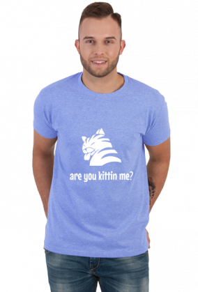 are you kittin me?