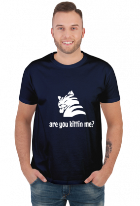 are you kittin me?