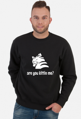 are you kittin me?