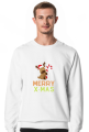Merry X-mas