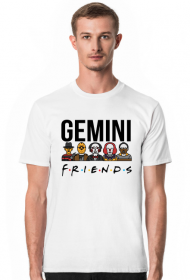 Koszulka Aptekarze Gemini Friends