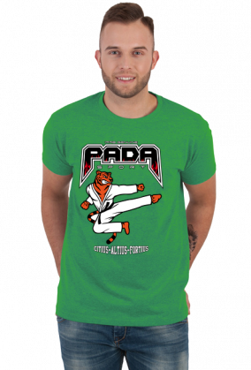Sport fight mma  karate kickboxing teakwondo. Pada