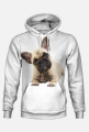 Bluza piesioł