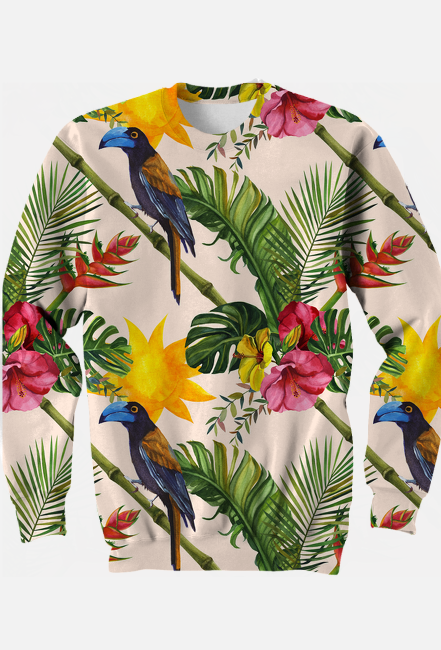 Bluza