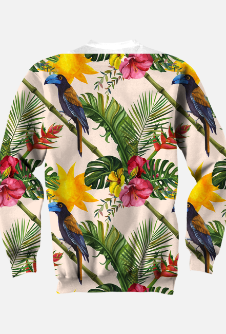 Bluza
