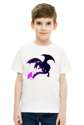 Ender Dragon Minecraft