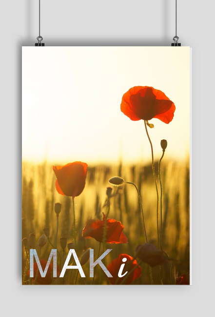 Maki - plakat na ścianę z kwiatami