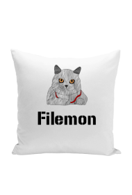 Poduszka Filemon