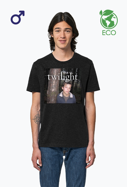 Louis twilight logo